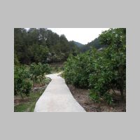 001 Farm Road - Cemented.JPG